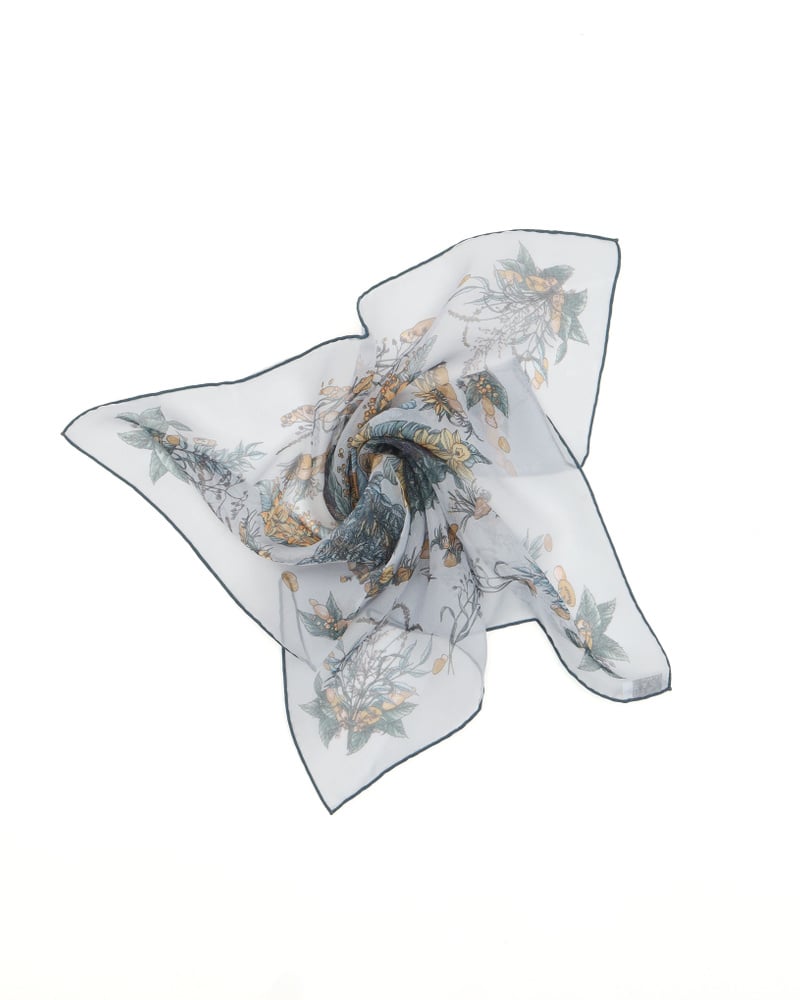 40472_a6db736c97_file-full