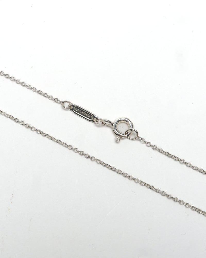 40961_d91500ea5b_file-full