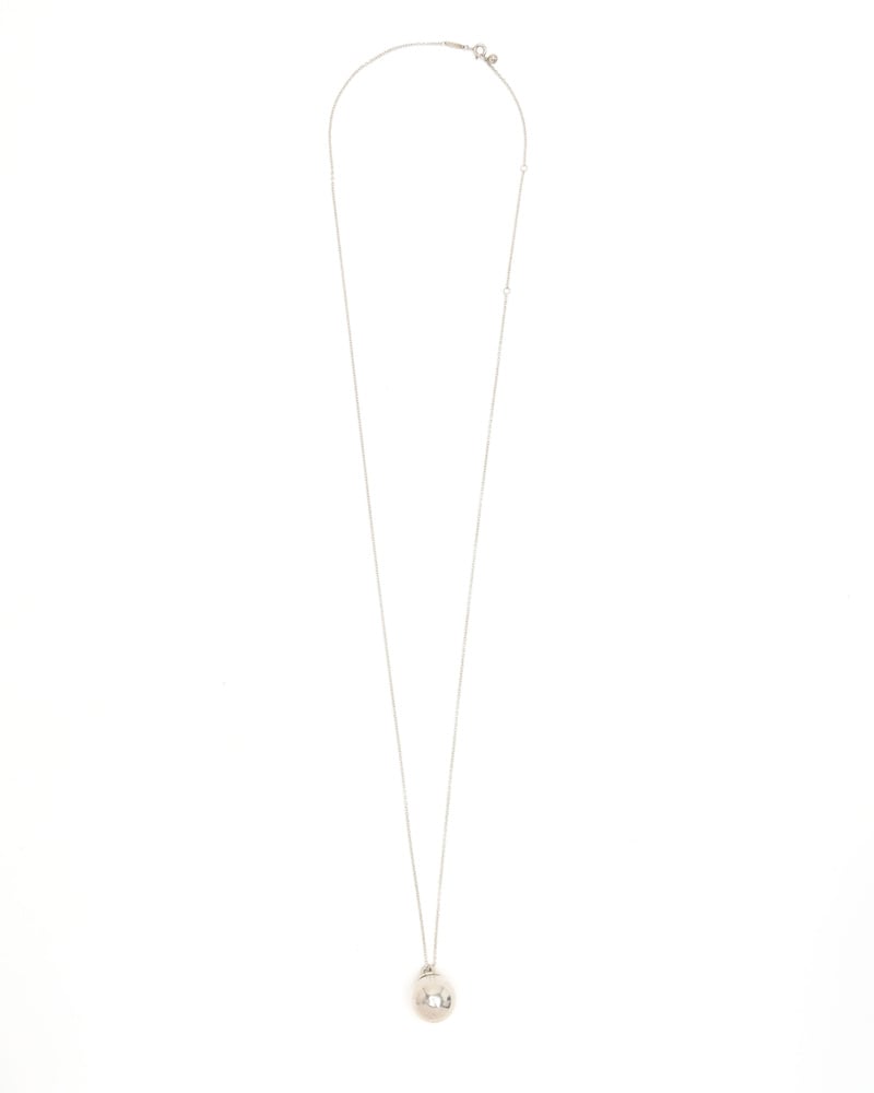 41070_920b77849a_file-full