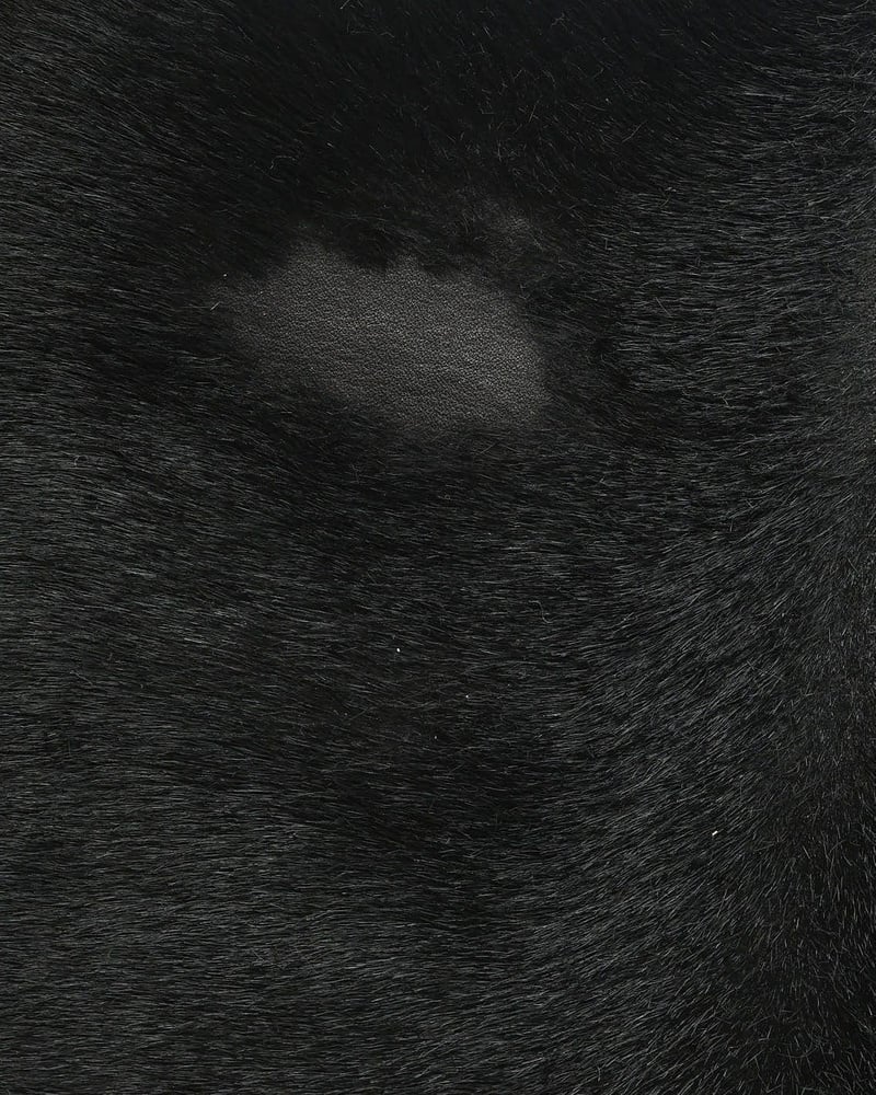 41193_cd13aa6b42_file-full