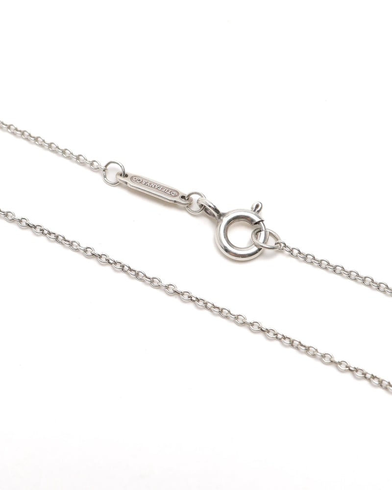 41589_0a5cdb4c32_file-full