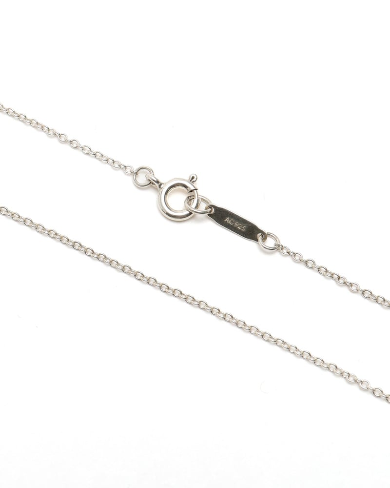 41596_a0a9f94ed0_file-full