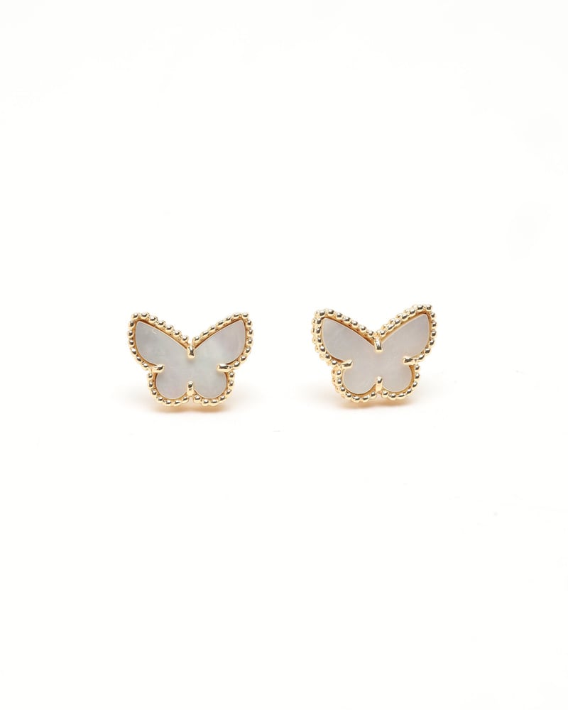 41751_ec632d6dec_file-full