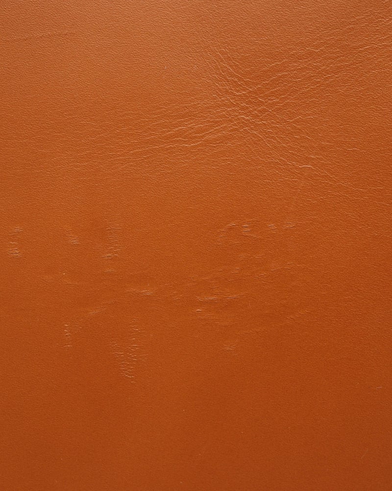 41779_cdd51a52a5_file-full