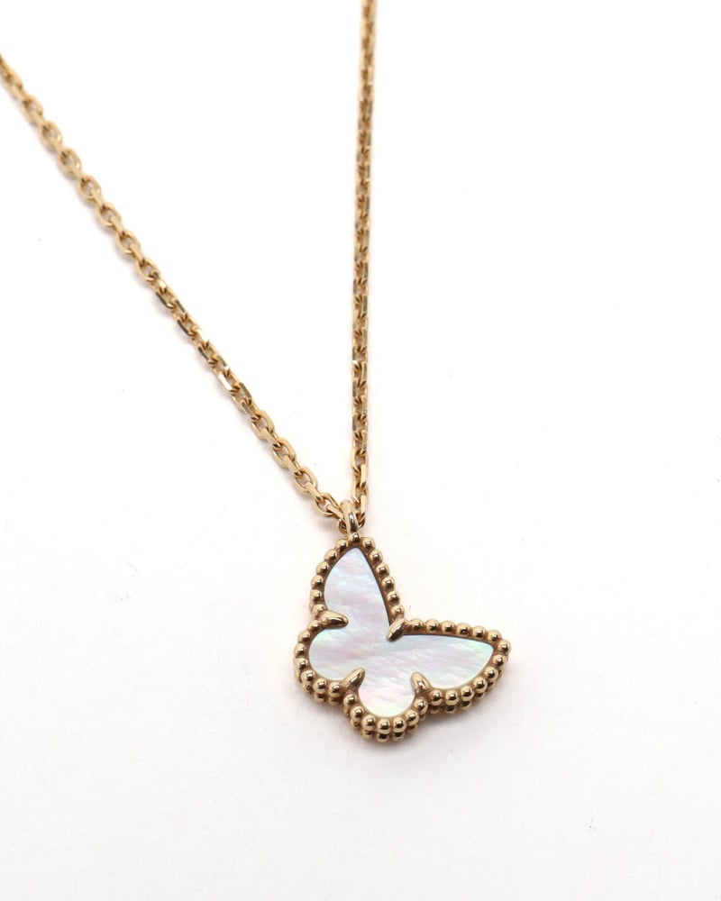 42037_1b8d7d3035_file-full