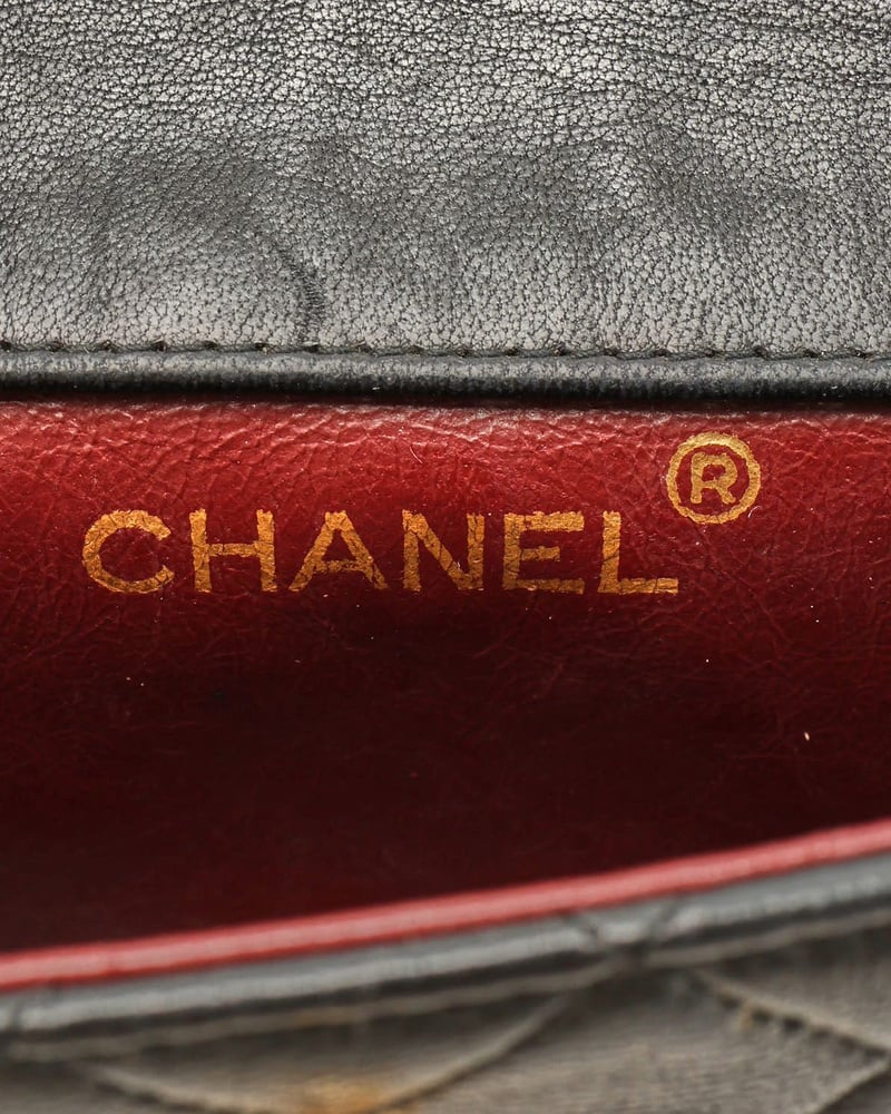 42166_72ca962360_file-full