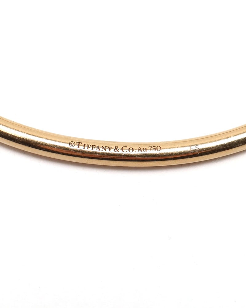 42498_d85a68e2a3_file-full