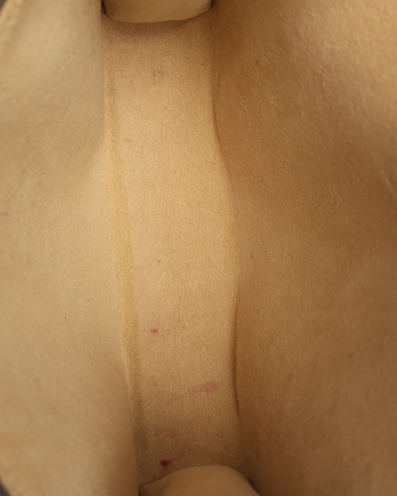 42804_4d08759946_file-full