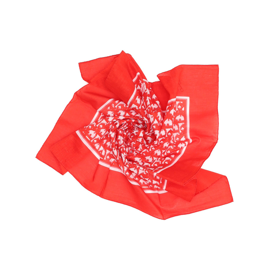 43106_d2086f377c_file-square