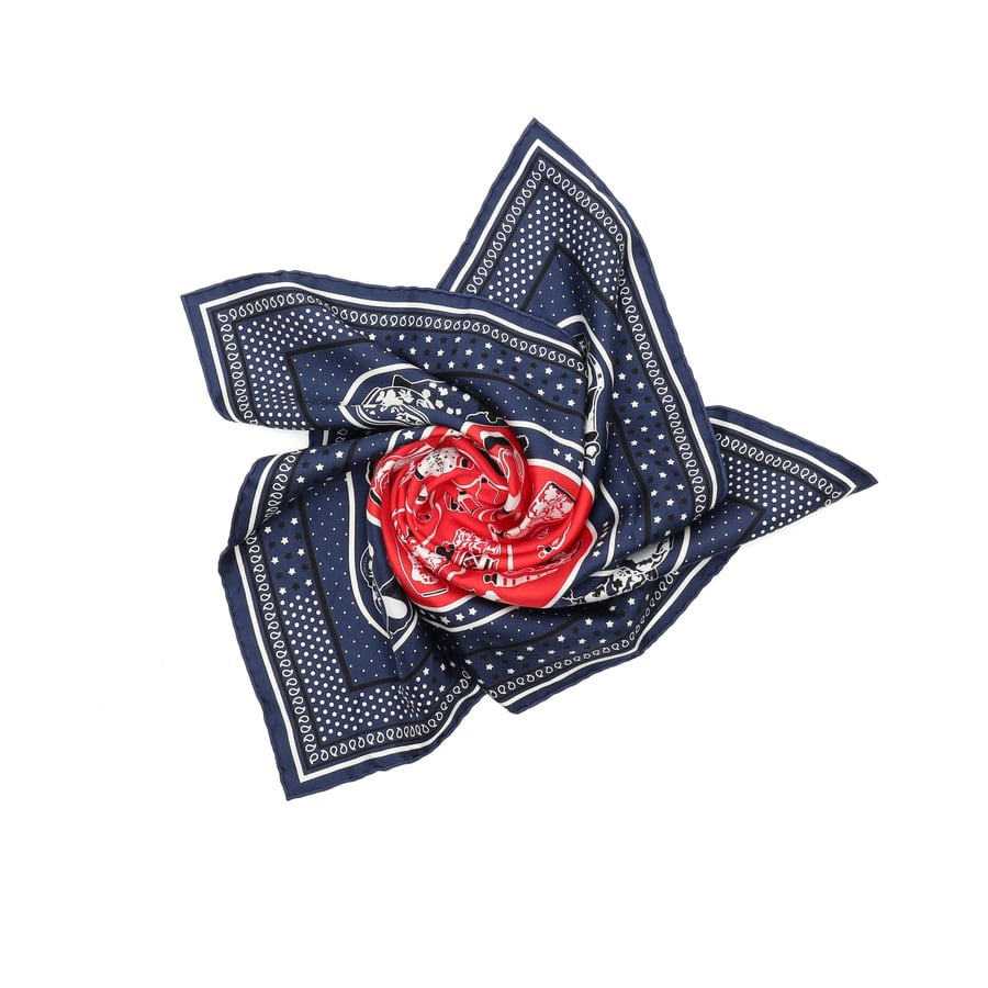 43336_6e9c3bf522_file-square