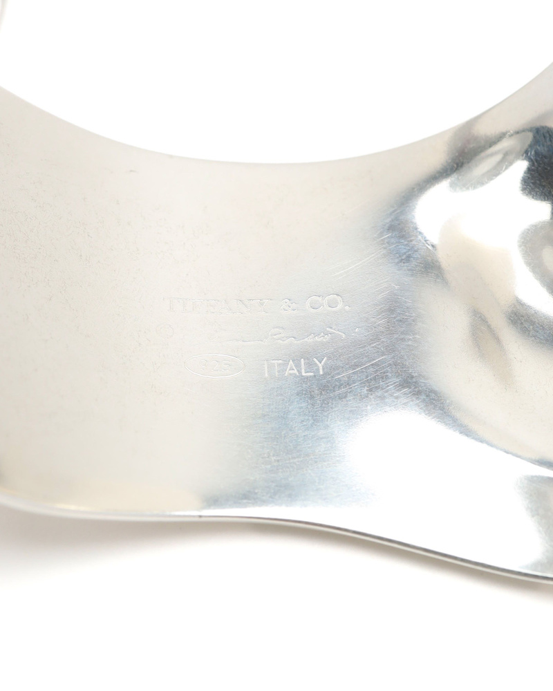 43473_2eb2bfcca0_file-full