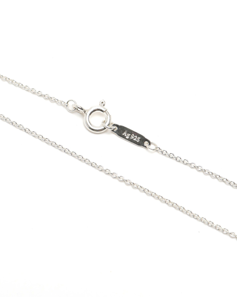 43492_e51532a0b9_file-full