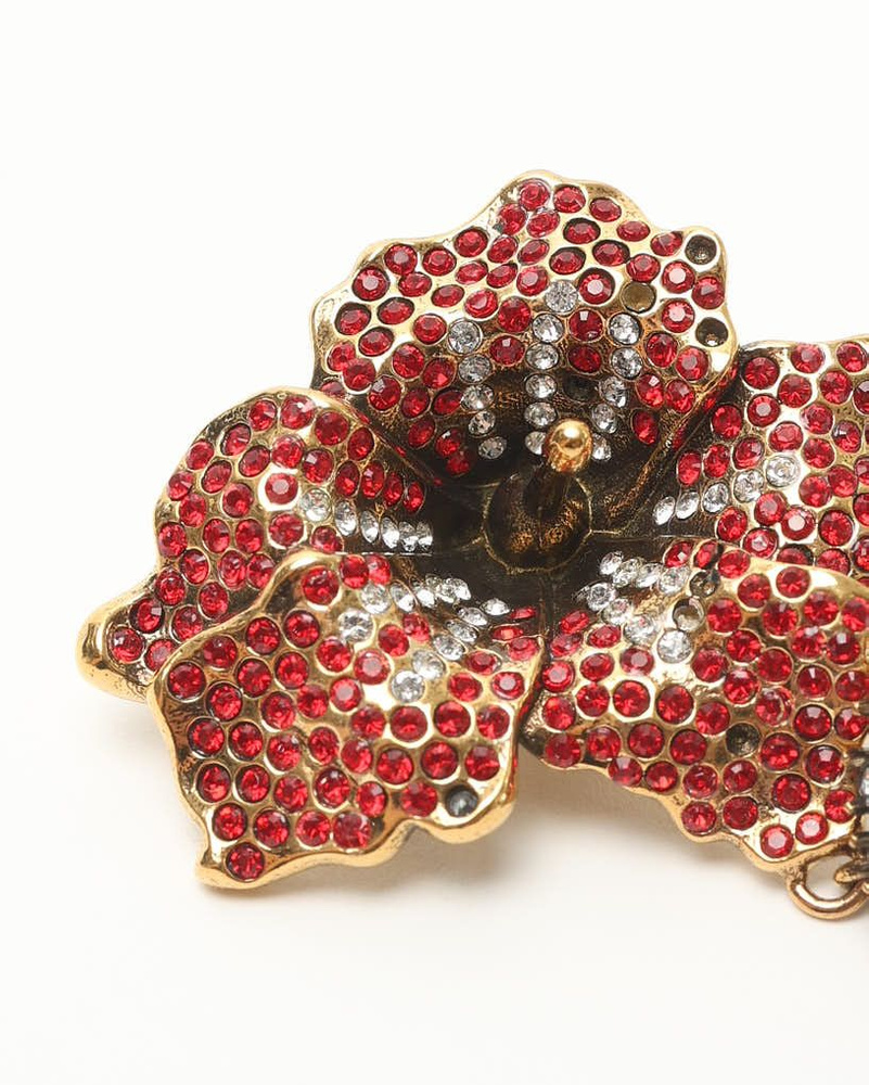 43514_c096b44f5d_file-full