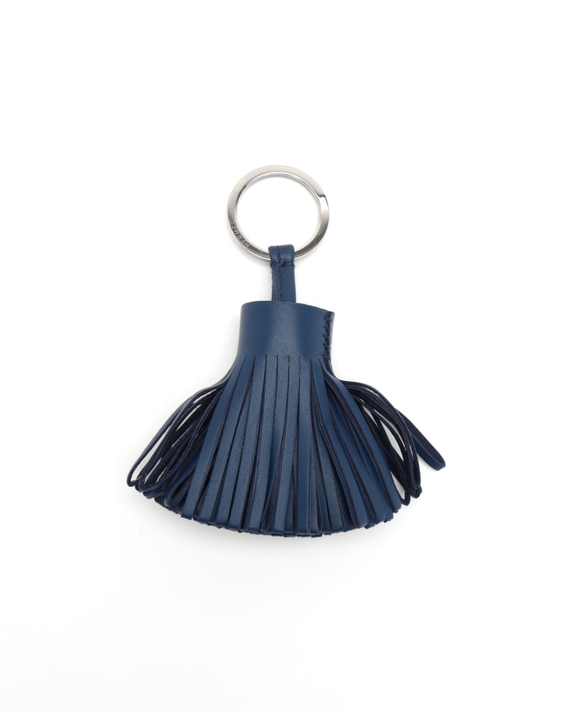 43571_c89f8f43b8_file-full