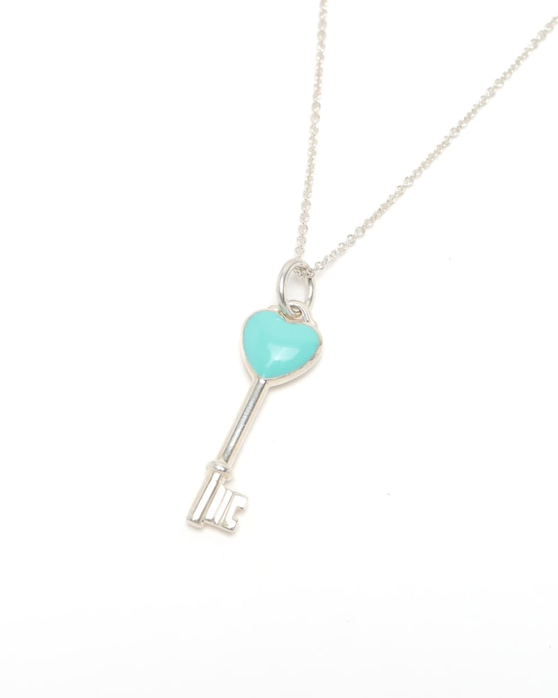 43609_c9e29b7fb4_file-full