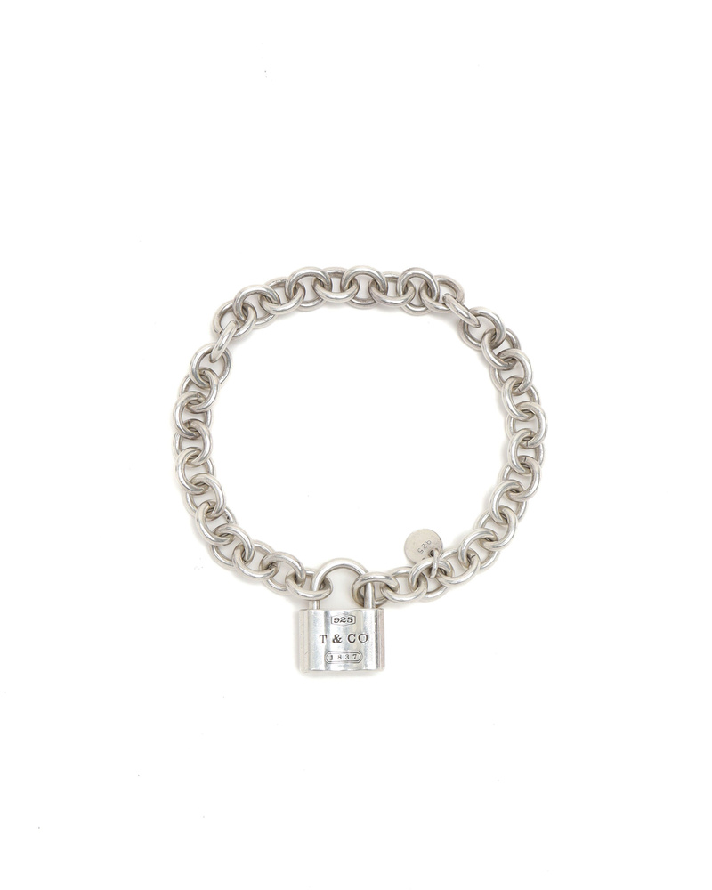 43667_150f6dee13_file-full