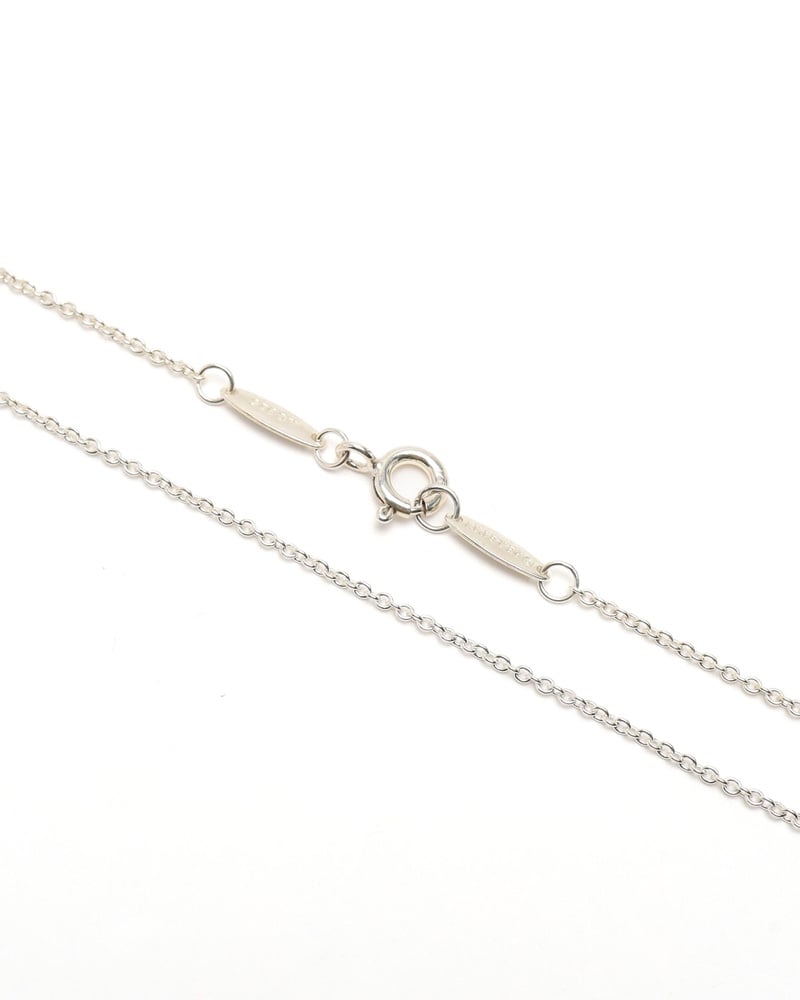 43795_58f0055a48_file-full