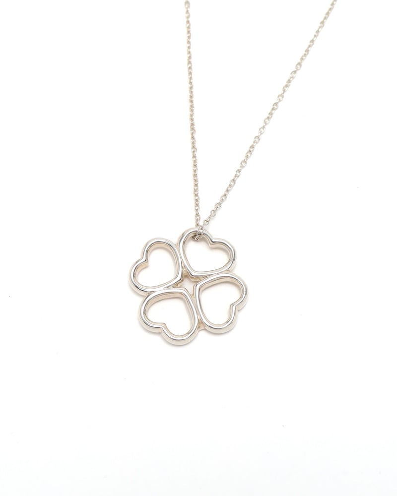 43815_17d0723a67_file-full