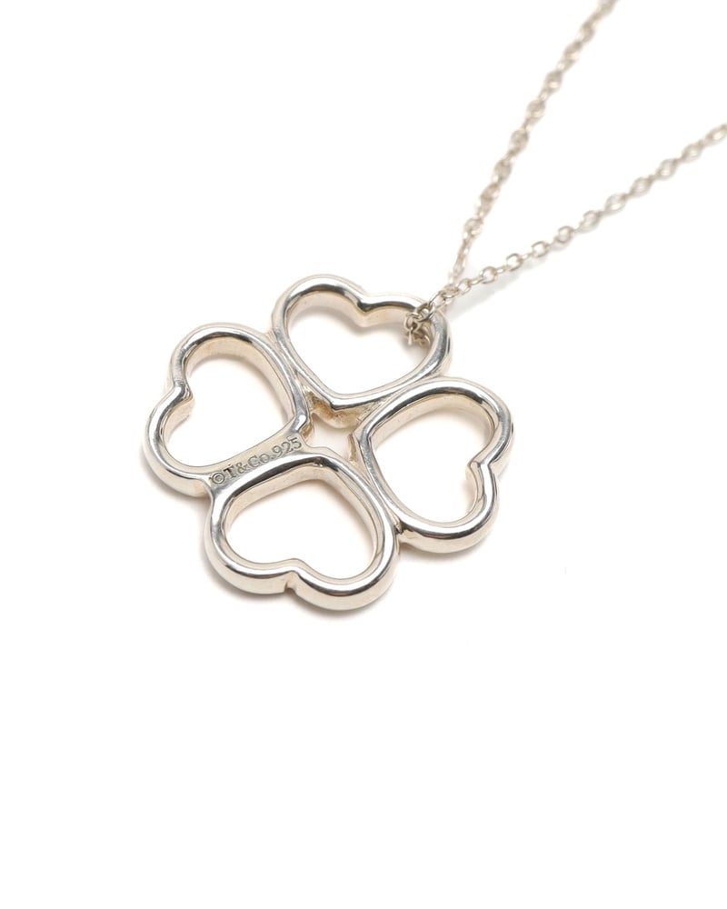 43815_a07d68771b_file-full