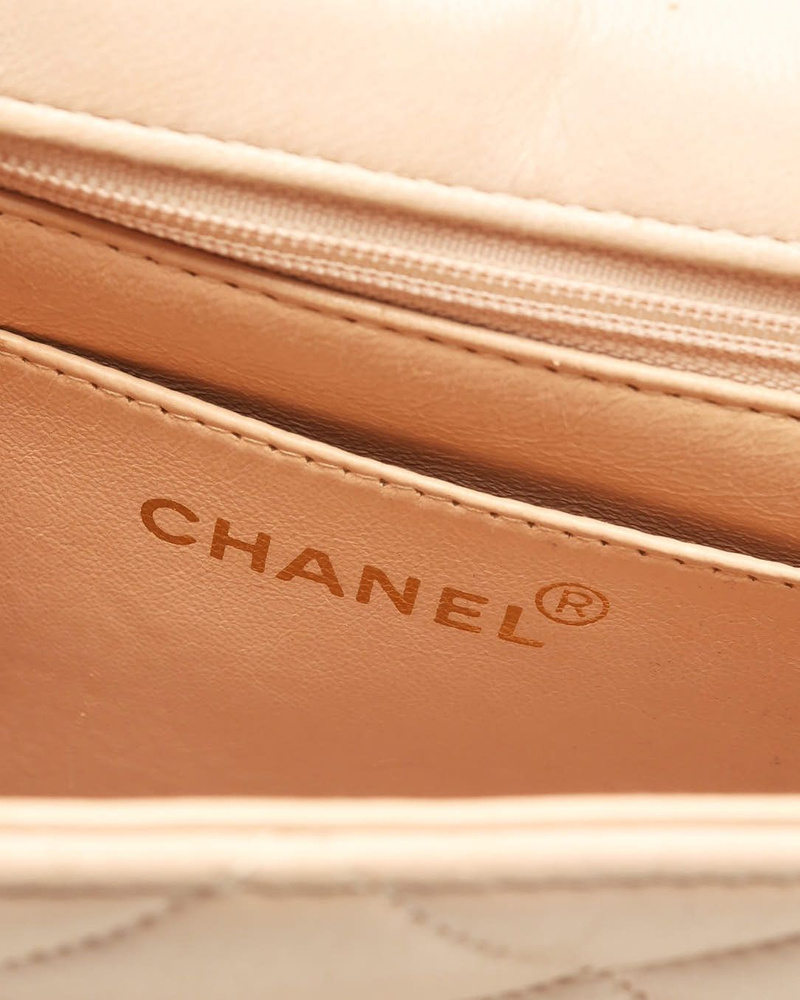 44447_53582220d5_file-full