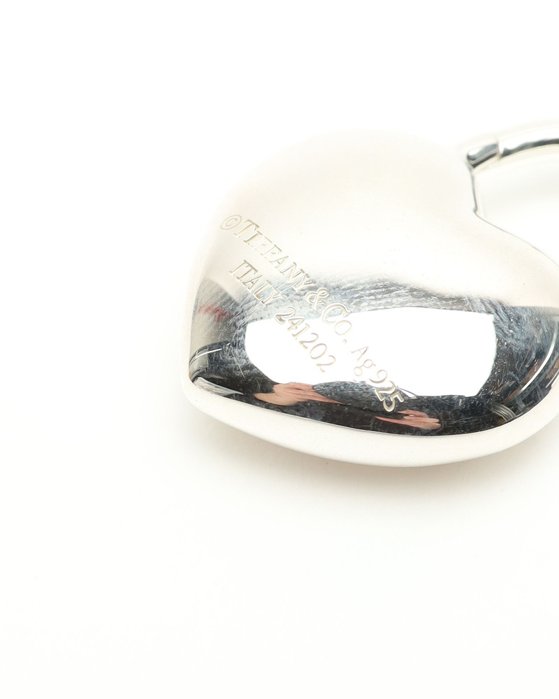 44704_b96ed705d0_file-full