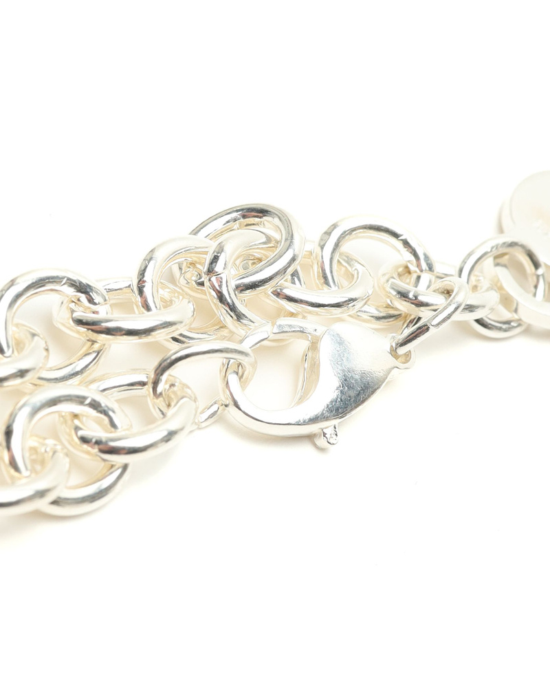 44743_9b63e49cc7_file-full