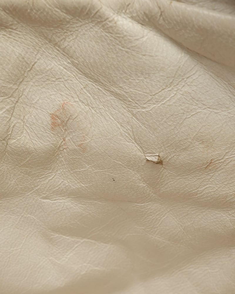 45104_3fe666de3e_file-full