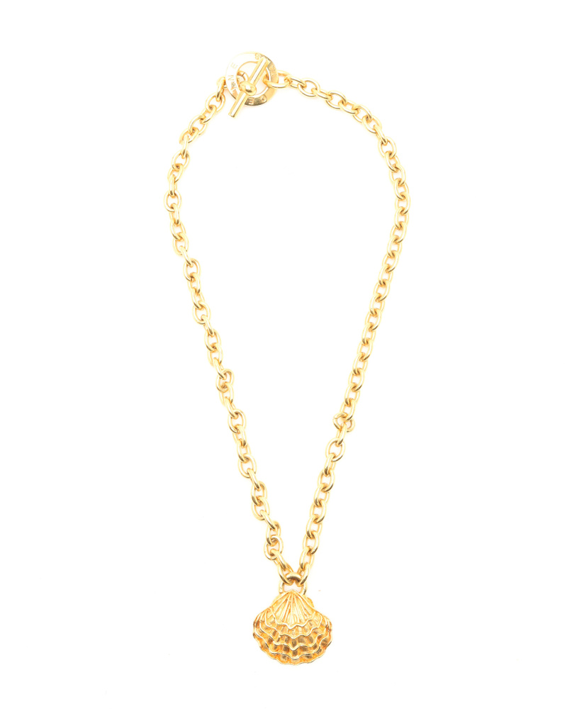 45149_f995df5154_file-full