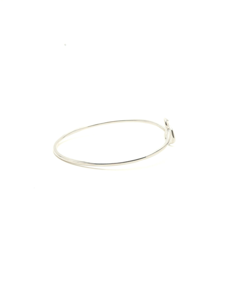 45412_79e5ac2f95_file-full