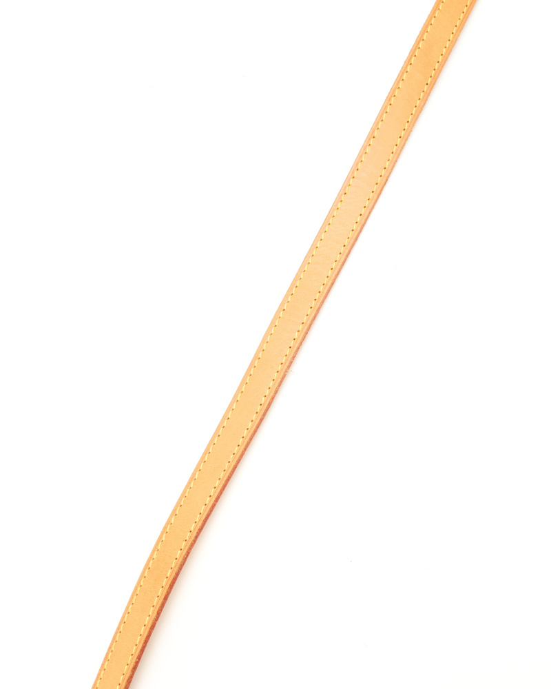 45502_38f1303ebf_file-full