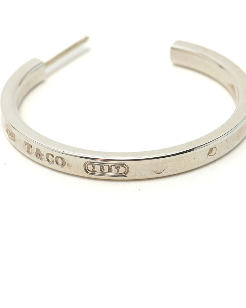 45513_0b1cfbde54_file-full