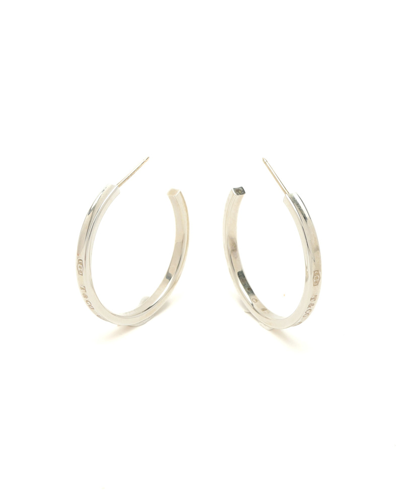 45513_60806d2717_file-full